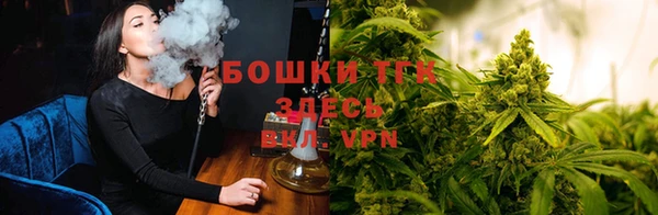 стафф Дмитровск