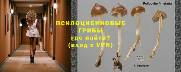 СК Дмитриев