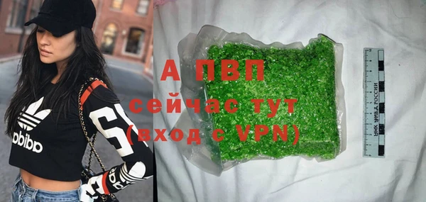 стафф Дмитровск