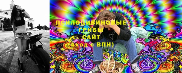 стафф Дмитровск